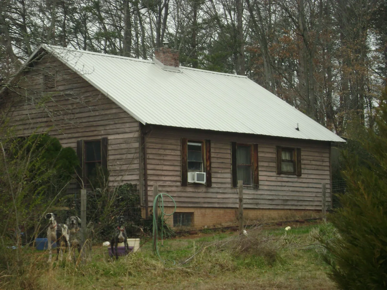 White metal roof on an old wood sided farmhouse, from a Asphalt Shingle Roof Repair job in Whitestown